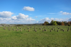 Woodhenge Durrington Walls